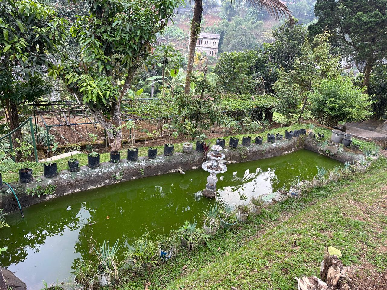 Dijual Villa Cisarua, Luas 2.345 Meter, Kode :20914 Ta Gallery