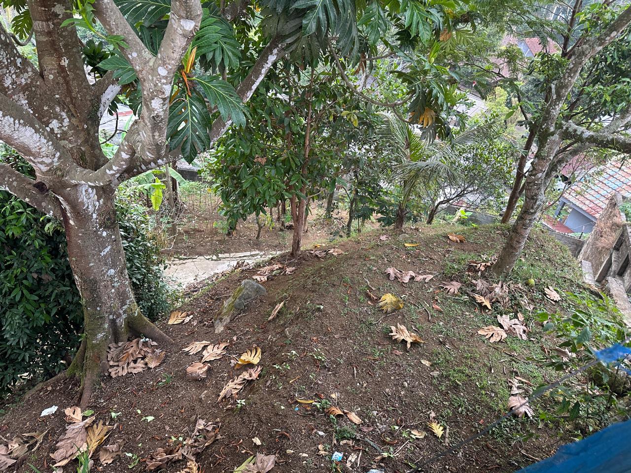 Dijual Villa Cisarua, Luas 2.345 Meter, Kode :20914 Ta Gallery