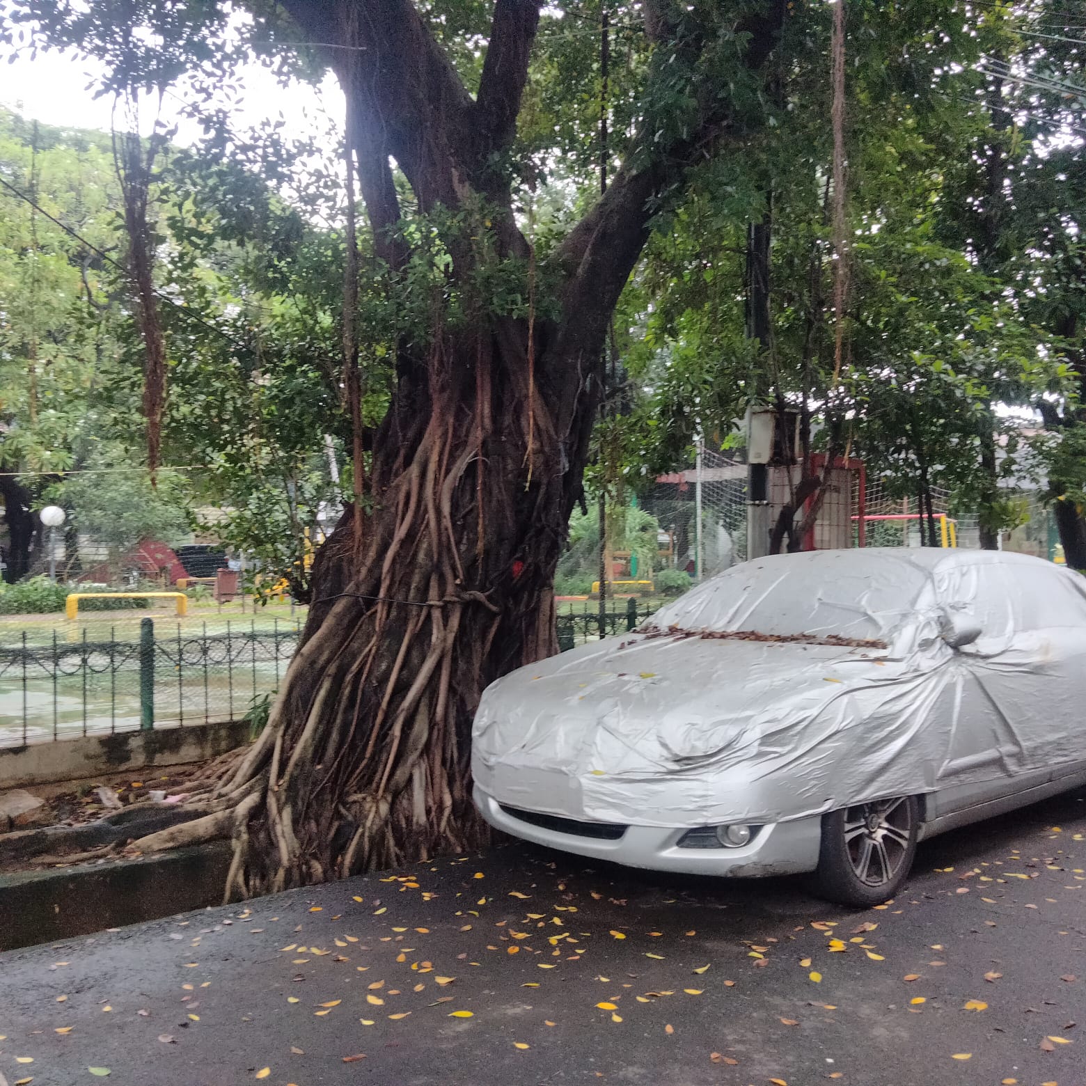 Disewa Rumah Sunter, Luas 6x17 Meter, Kode :13124 Br/Si Gallery