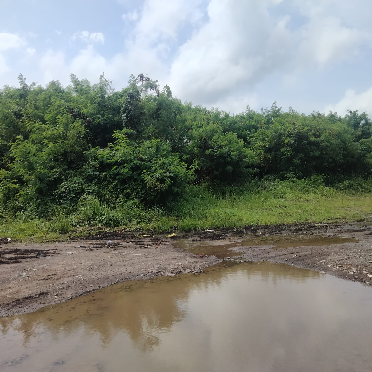 Dijual Tanah Banten, Luas 1,7 Hektar, Kode :20752 Dj/Br Gallery